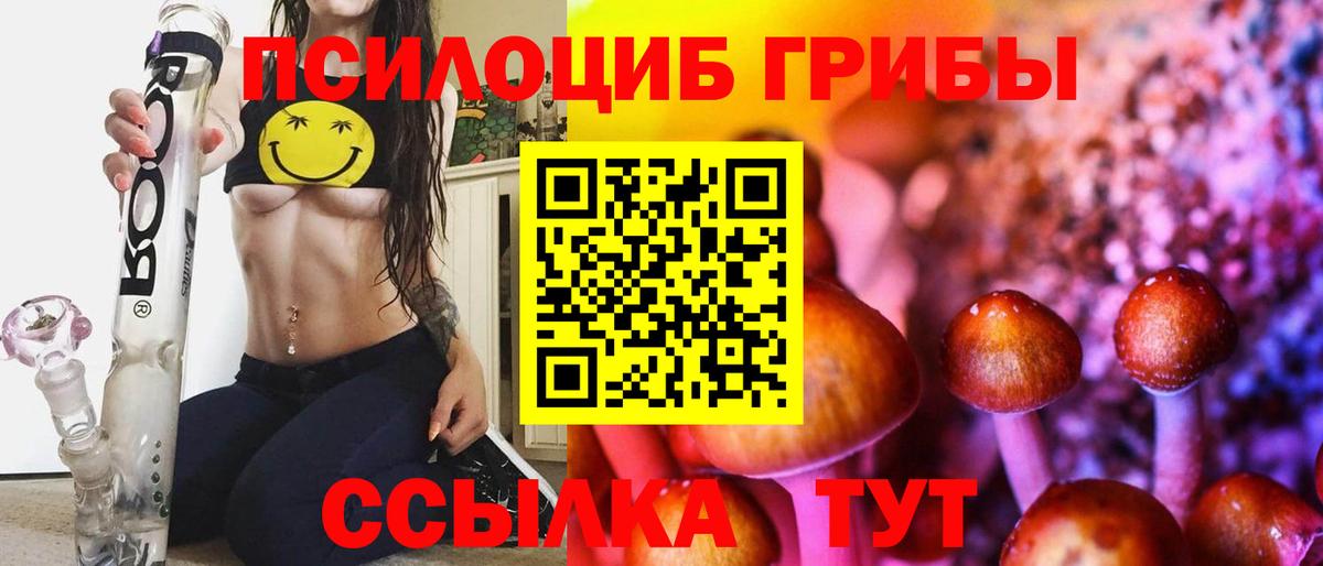 Галлюциногенные грибы Psilocybe Екатеринбург